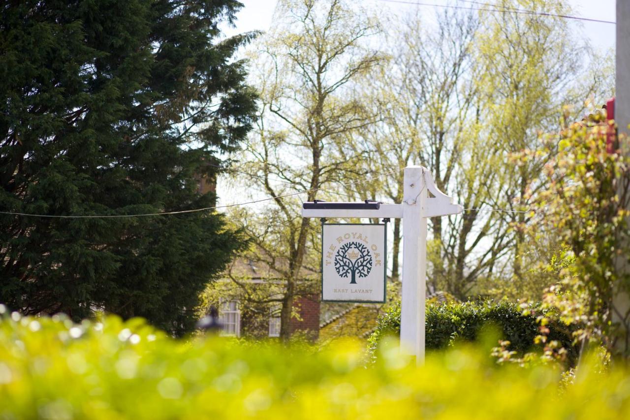 The Royal Oak Inn Chichester Luaran gambar